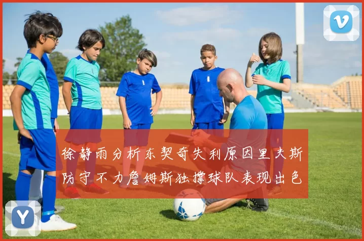 徐静雨分析东契奇失利原因里夫斯防守不力詹姆斯独撑球队表现出色